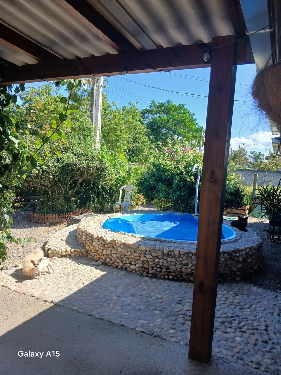 Casa para vender no alto arroio - Foto 5