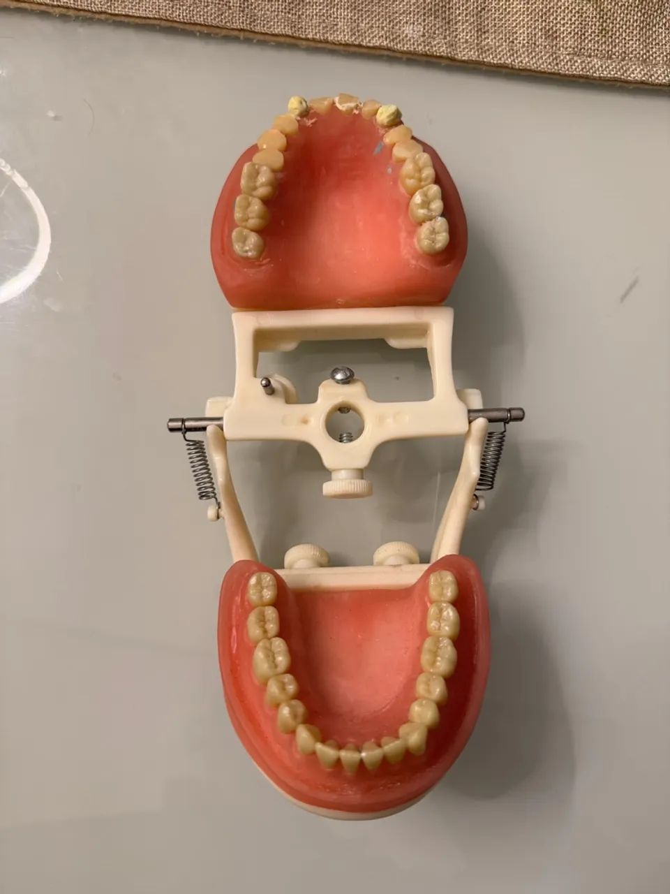 Manequim odonto  - Foto 3