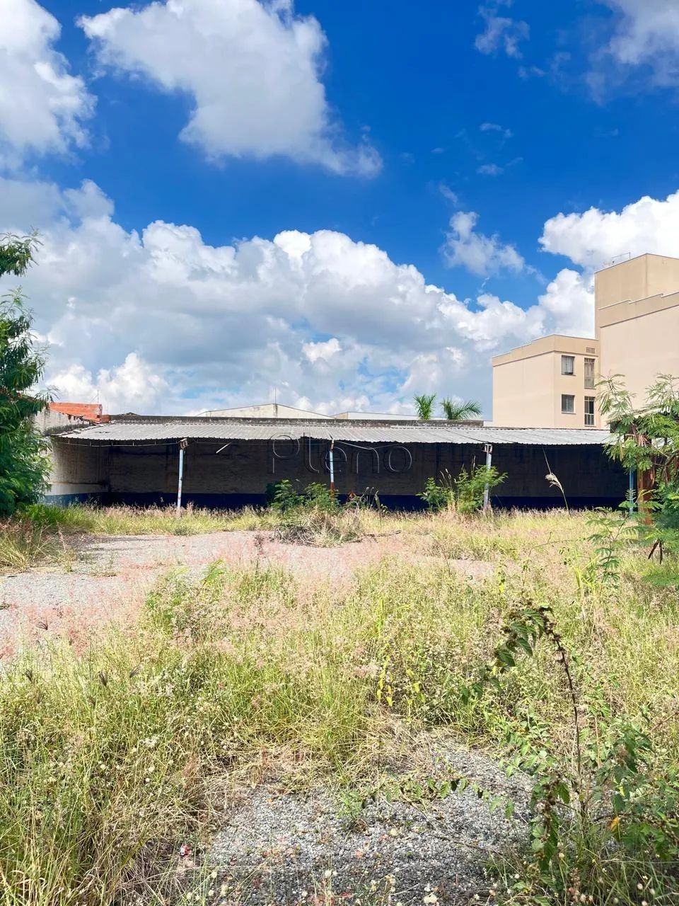 Terreno para alugar em Campinas, Vila Pompéia, com 810 m²