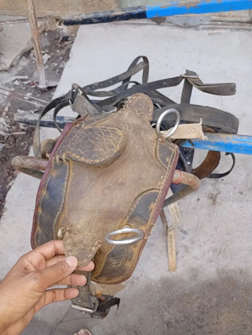 Charrete para cavalo - Foto 4