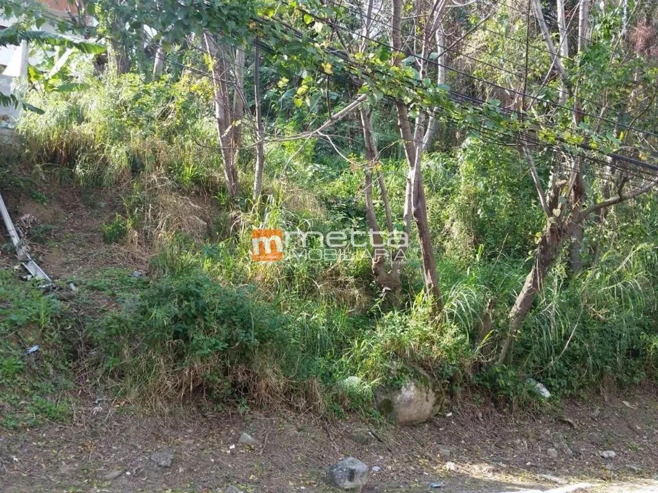 Terreno à venda, 480 m² no Saco Grande - Florianópolis/SC - Foto 5