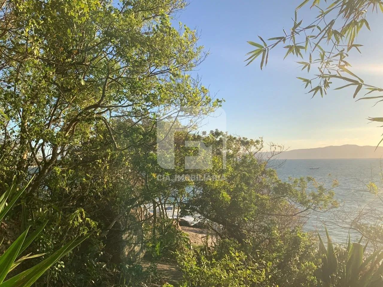 Terreno em frente ao mar da Praia da Daniela - Foto 4