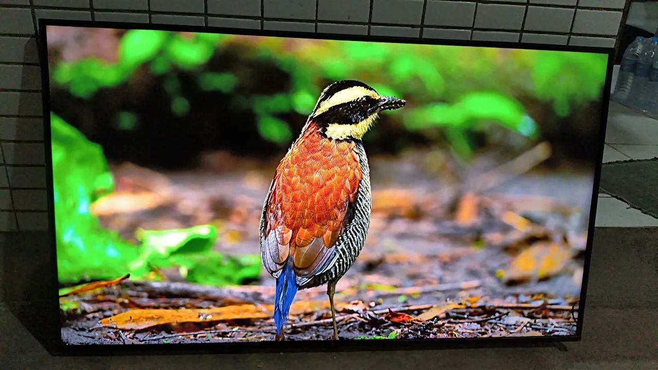 Tv Smart LG 50 Polegadas 4k Ultra HD Nanocell Completa Nova tela no Plástico  - Foto 5