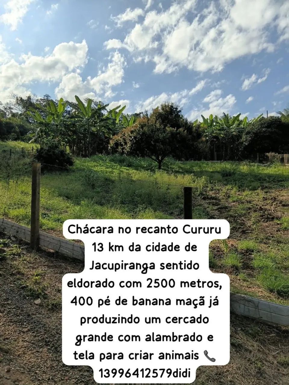 Chacara a venda 