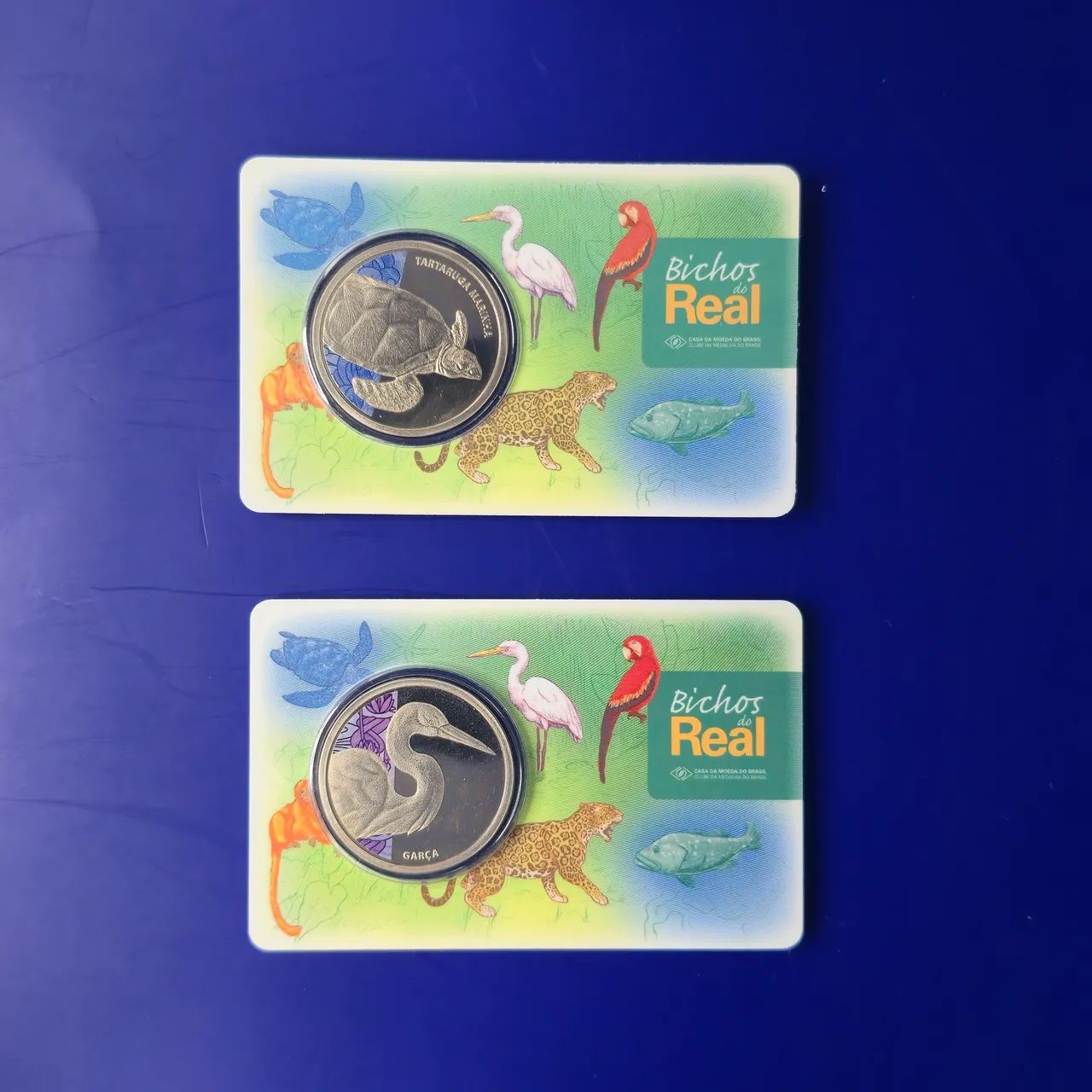  Série completa "Bichos do Real" - 2018 - Foto 2