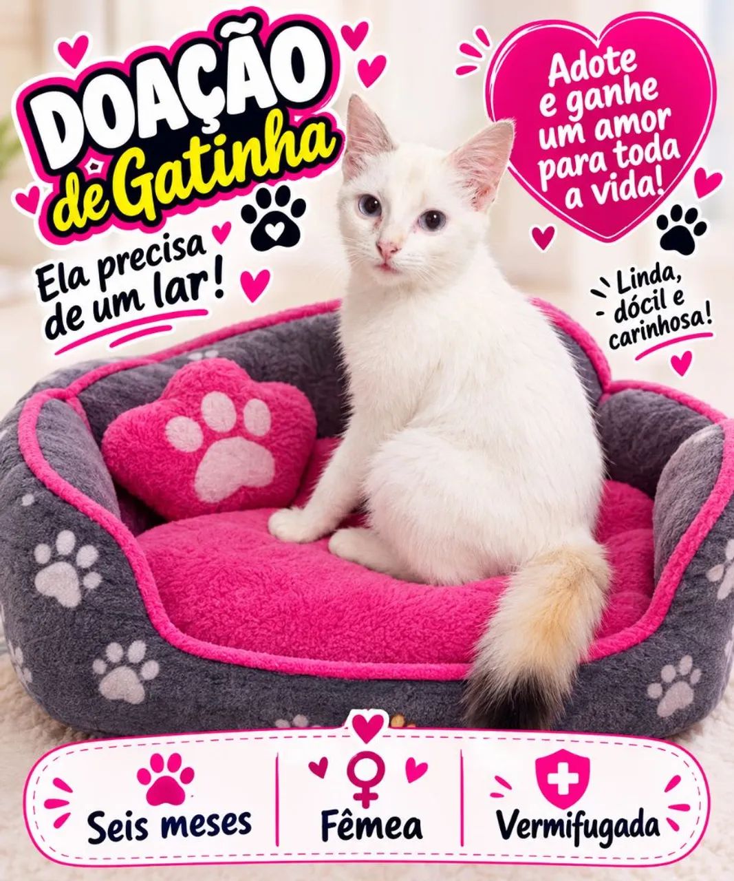 Gata para doação 