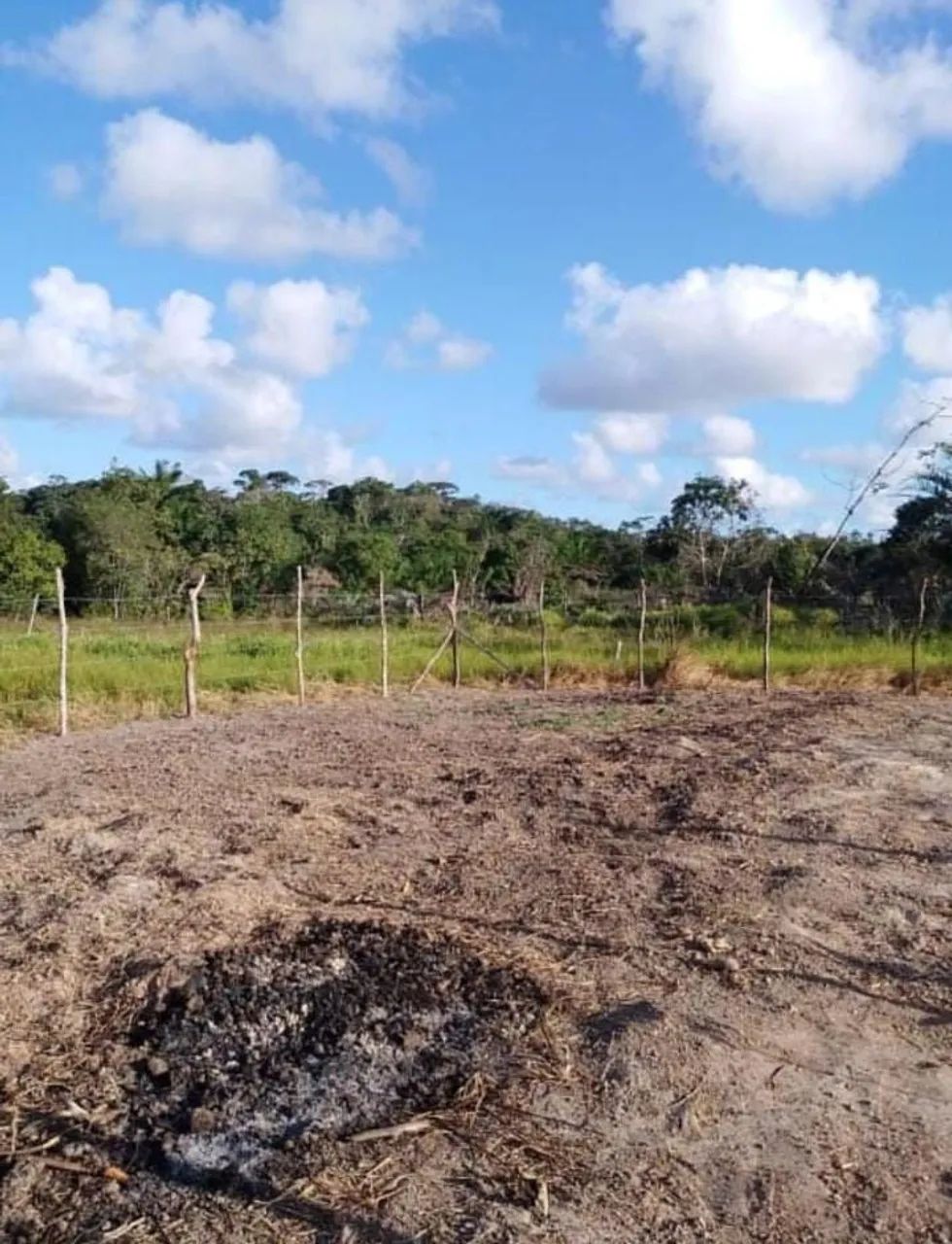 Terreno 