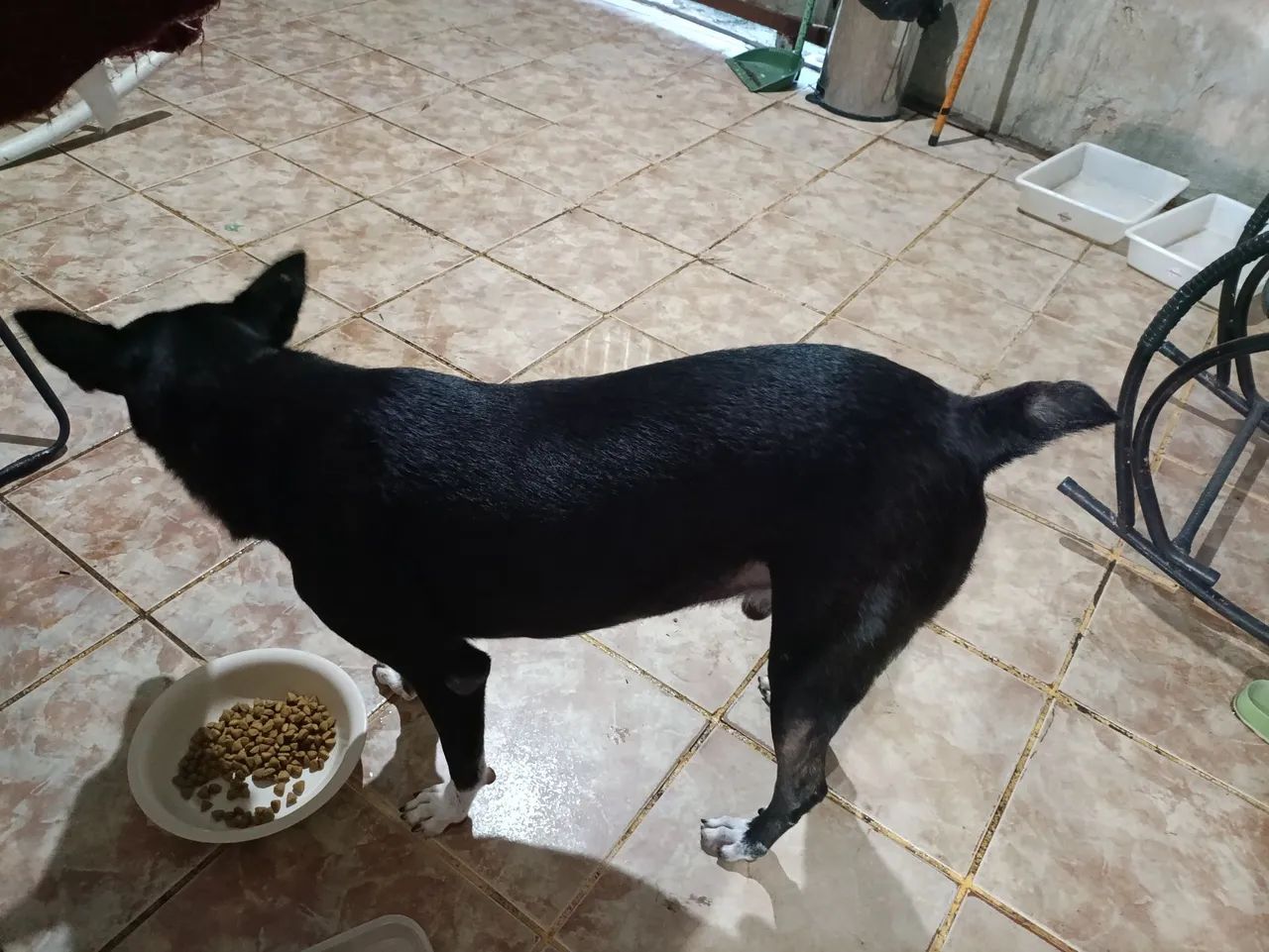 Doação  - Foto 5
