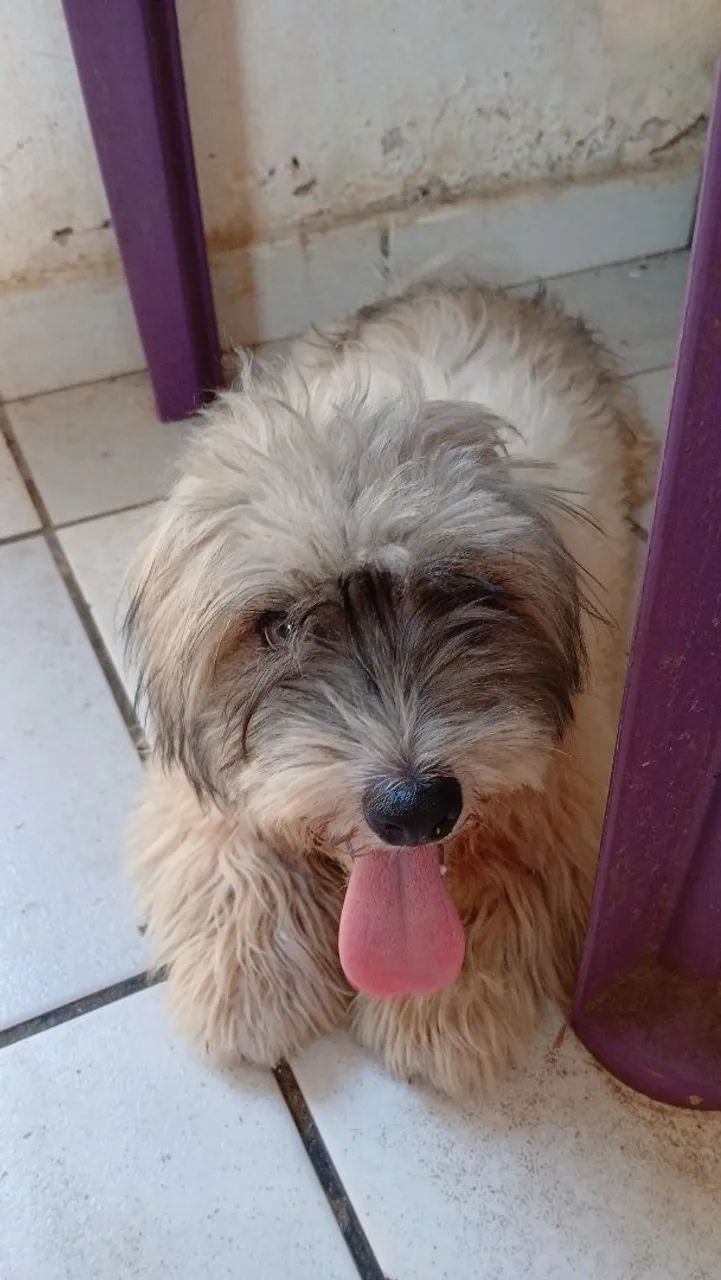 Vende-se  - Foto 3