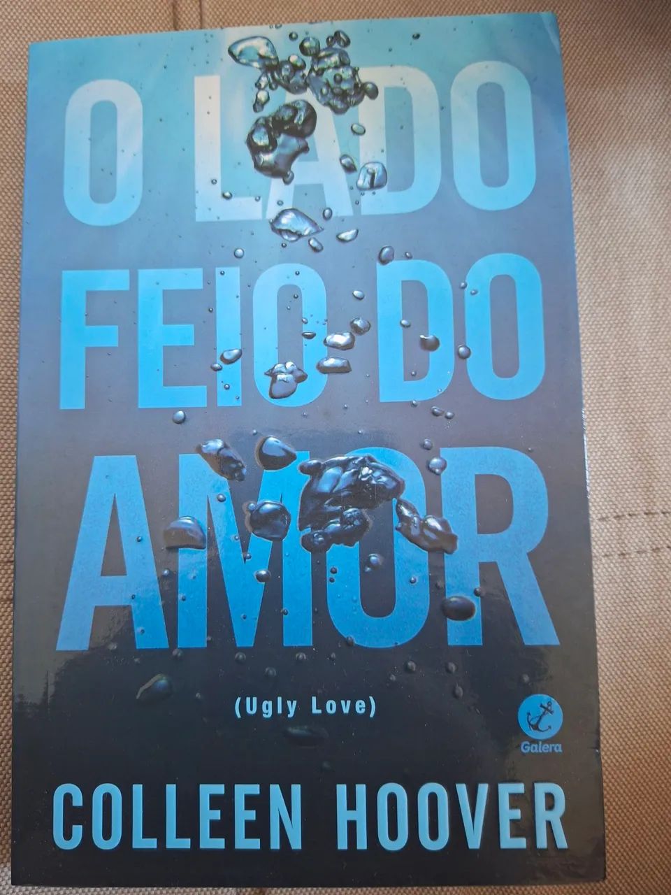 O lado feio do amor 