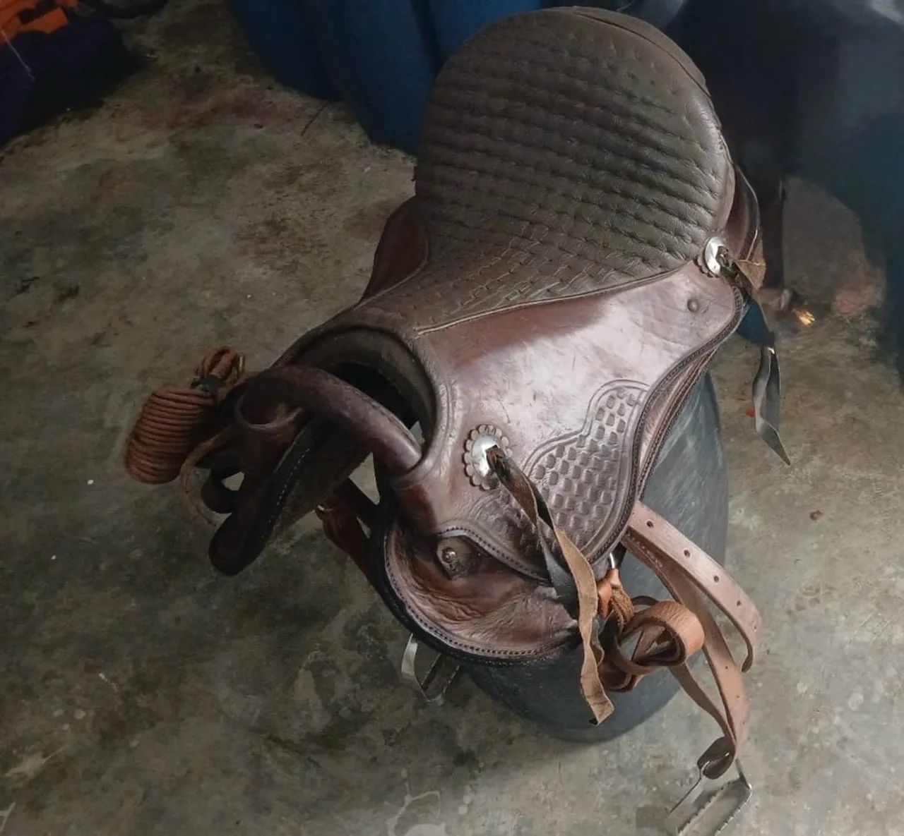 Vende-se Cela Argentina  - Foto 2