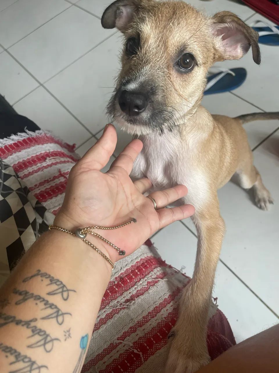Doação  - Foto 2
