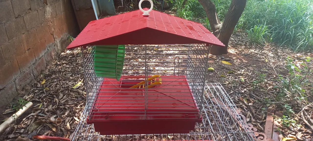 Gaiola de Ramstet - Foto 2