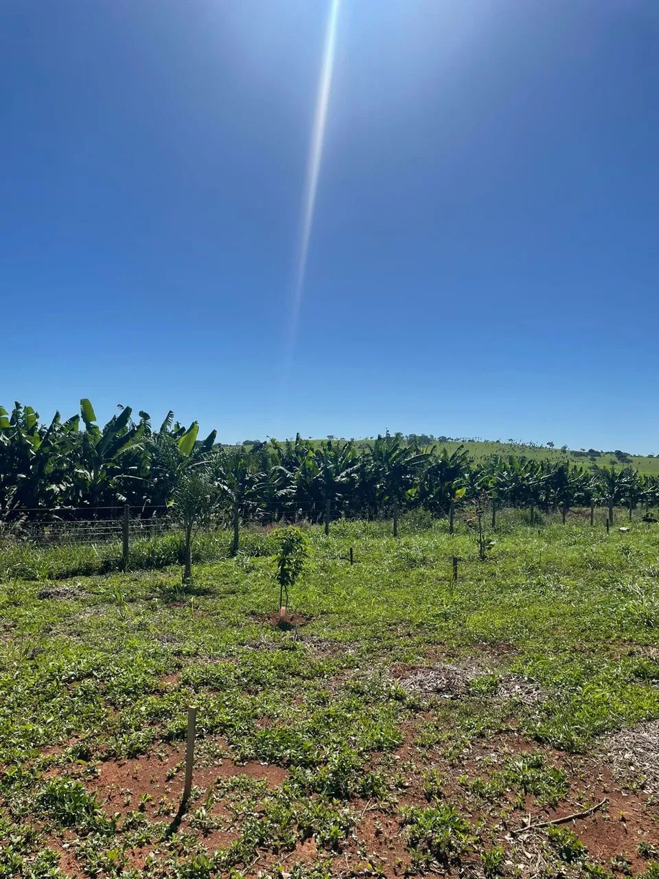 Chácara em Ouro Verde - Foto 3