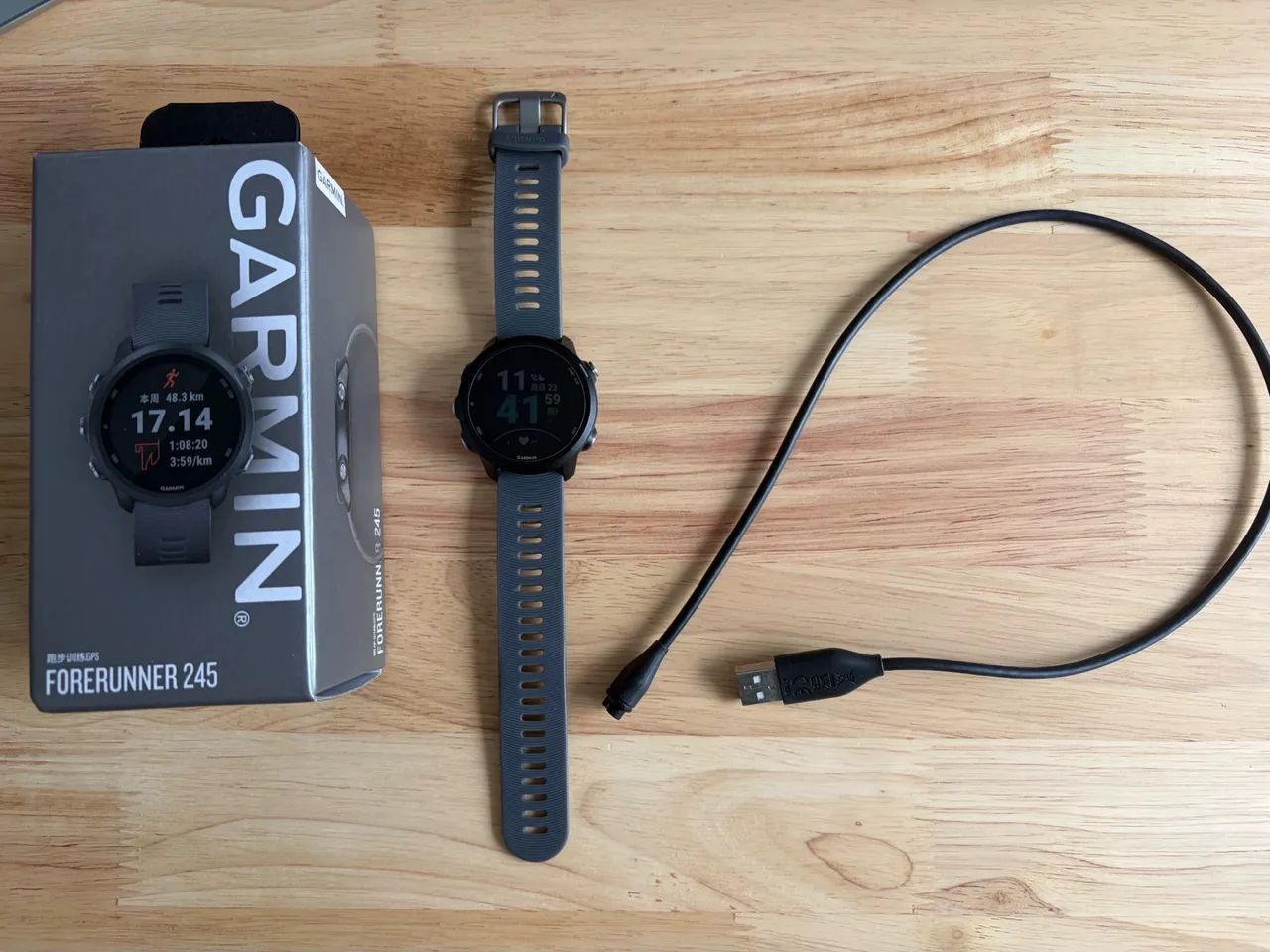 Garmin 245
