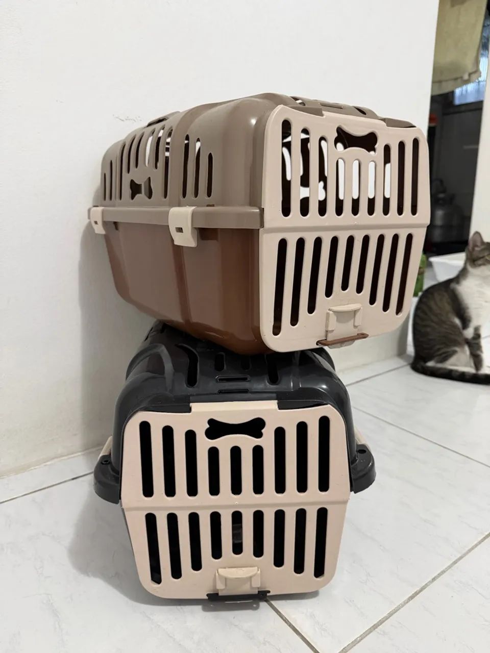 Caixas de transporte pet