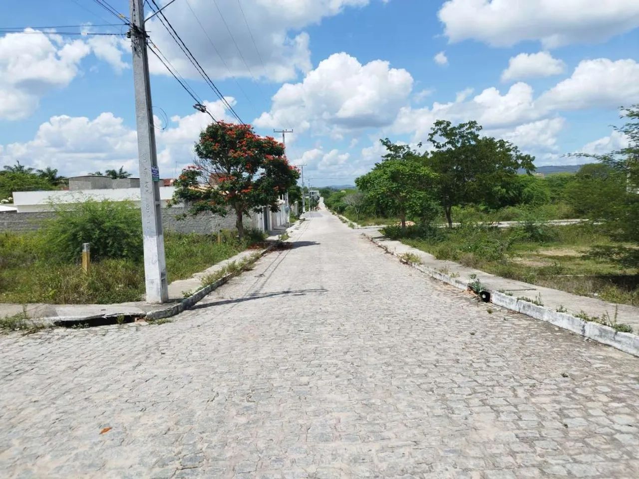 Lote para Venda em Limoeiro, Centro - Foto 3