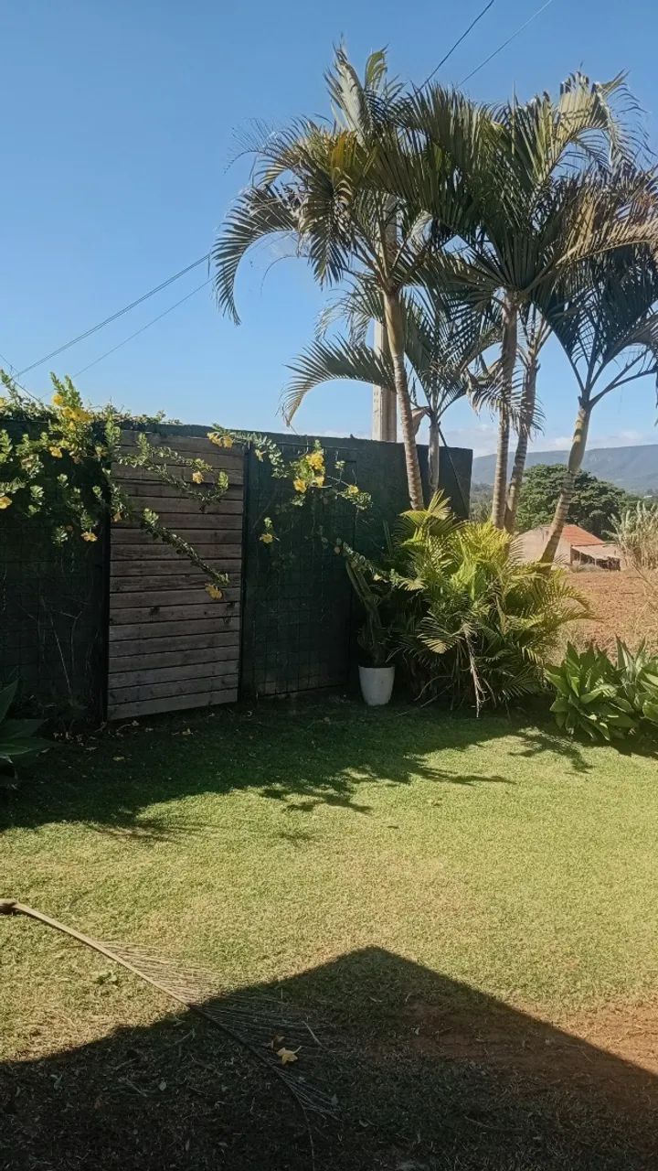 Jardinagem e limpeza de Piscina  - Foto 2
