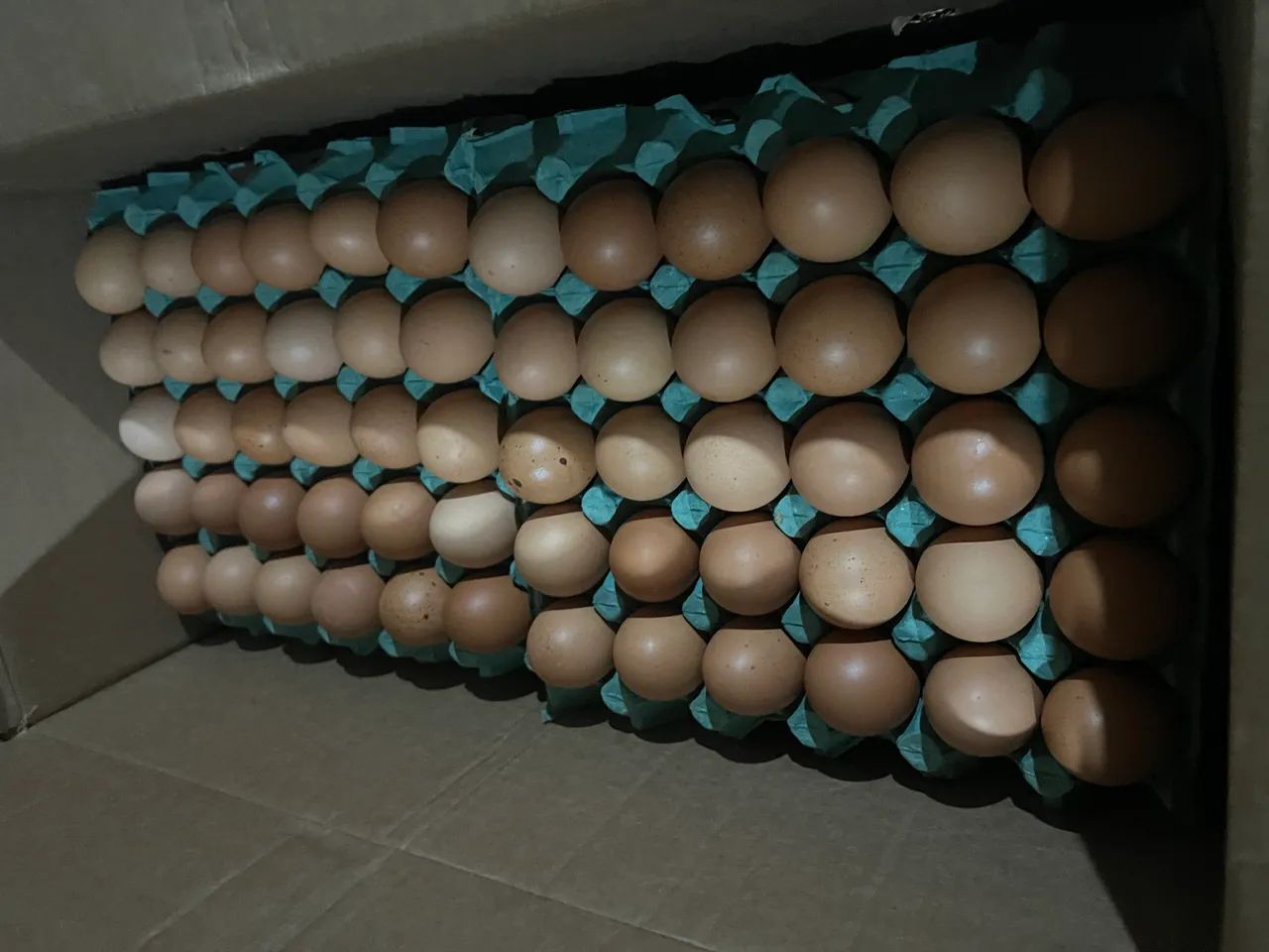 Ovos em atacado  - Foto 2