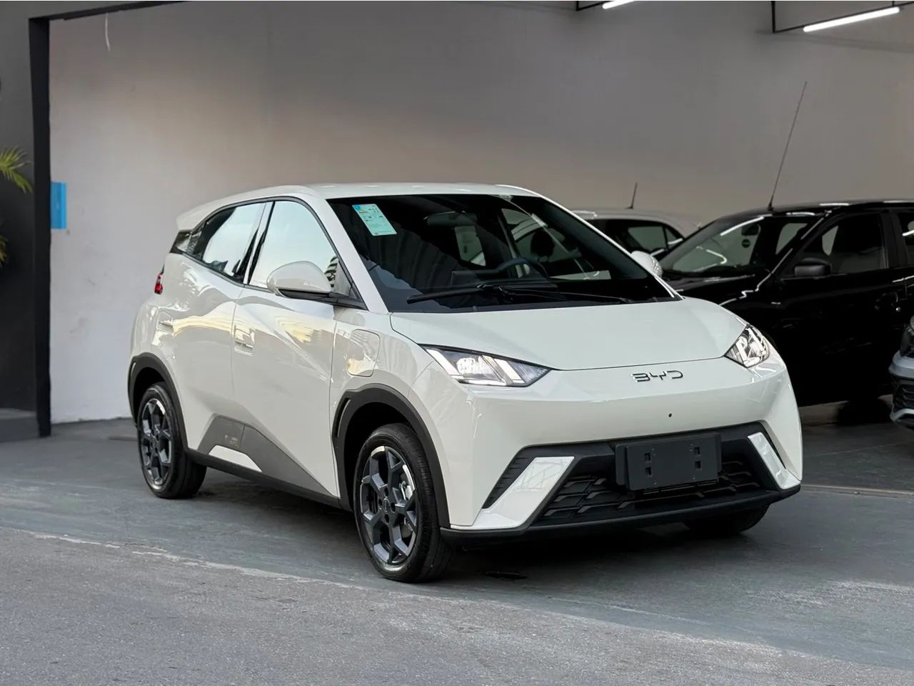 BYD Dolphin Mini (Elétrico) 2027