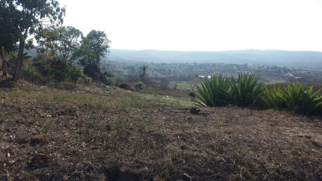 Ótimo chácara de 1500 m², com energia , a 300 m de Mandacaru-PE - Foto 5