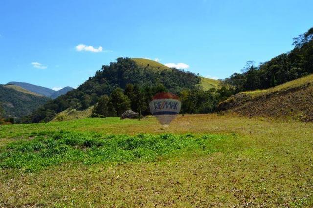 Sítio com 4 dormitórios à venda, 120000 m² por R$ 1.700.000 - Córrego das Pedras - Teresóp - Foto 20
