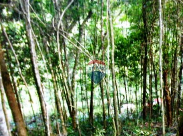 Terreno residencial à venda, Fazenda Boa Fé, Teresópolis. - Foto 4