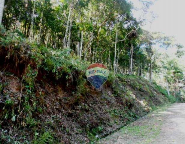 Terreno residencial à venda, Fazenda Boa Fé, Teresópolis. - Foto 11