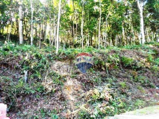 Terreno residencial à venda, Fazenda Boa Fé, Teresópolis. - Foto 17