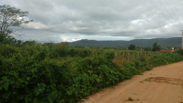 Excelente Propriedade em Belo Jardim, 7,5 hectares - Foto 16