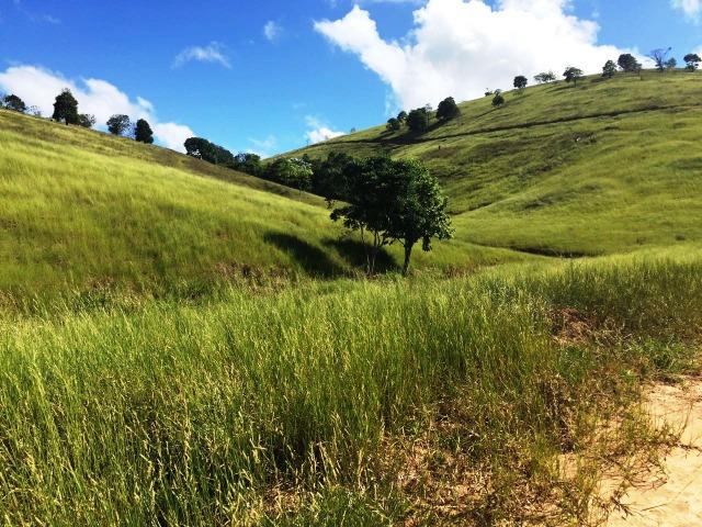 Fazenda 1001 hectares próximo a Teófilo Otoni/MG - Foto 5