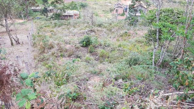 Terrenos - Foto 5