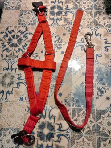 Guia e peitoral para pets - Tamanho M - Foto 2