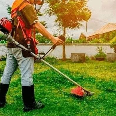 H&D jardinagem paisagismo e serviços - Foto 4