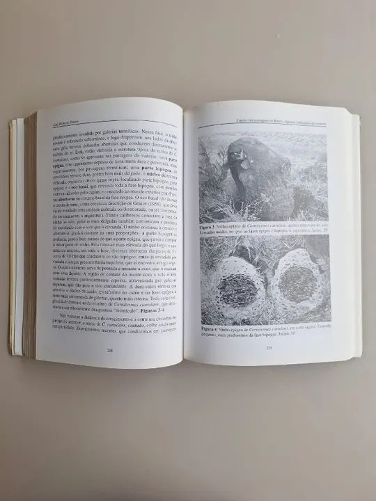 Cupins - O Desafio do Conhecimento - Foto 5