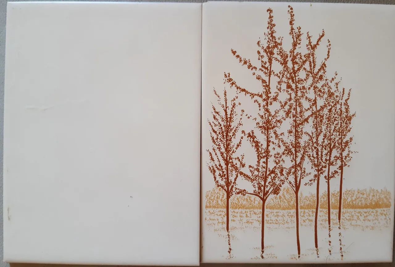 AZULEJOS NOVOS  INCEPA EXTRA. - Foto 2