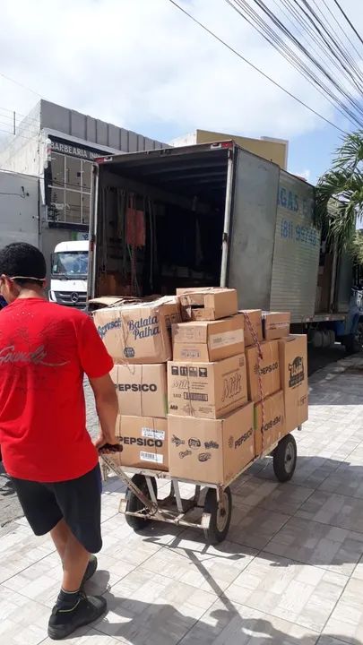 Mudanças residenciais e comerciais estadual e interestadual!!