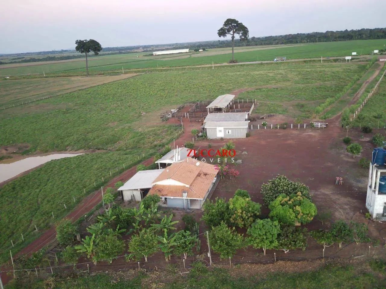 Fazenda com 5 dormitórios à venda, 5577619 m² por R$ 34.000.000,00 - Fazenda Luana - Campo - Foto 5