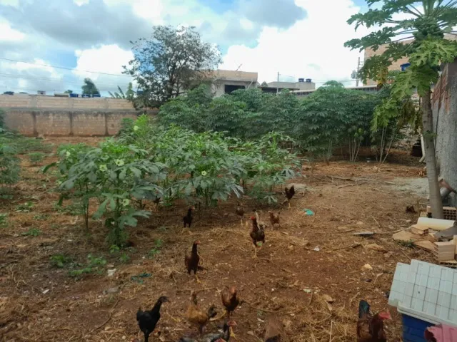 Vendo grande terreno no Morro da Cruz