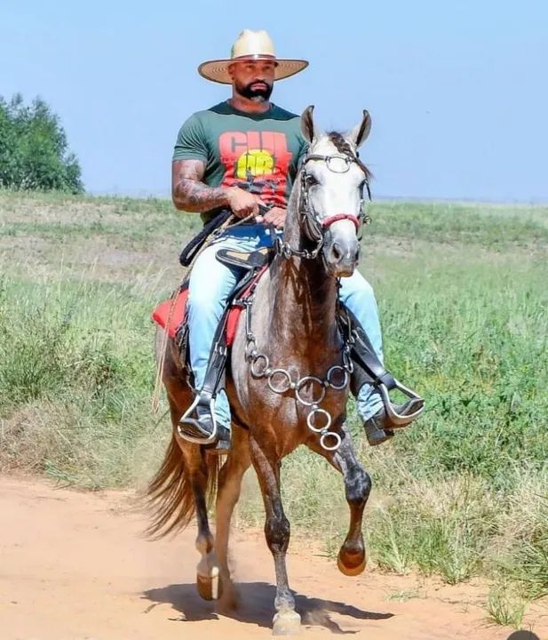 GARANHÃO MM LUXO(Papel top) - Foto 4