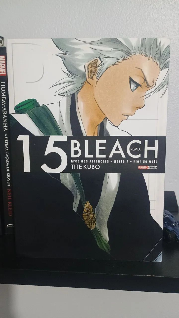 Bleach Vol. 15 - Remix 
