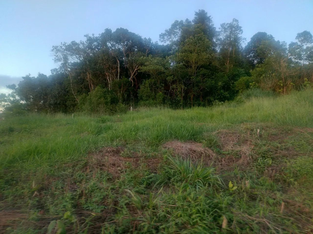 Terreno com vista espetacular para o pôr do sol - Foto 3