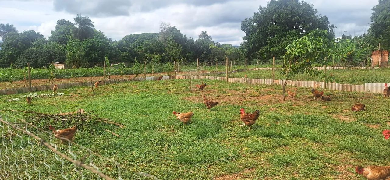 Chácara maravilhosa no Rajadinha-DF. PERTINHO DO ASFALTO . - Foto 5
