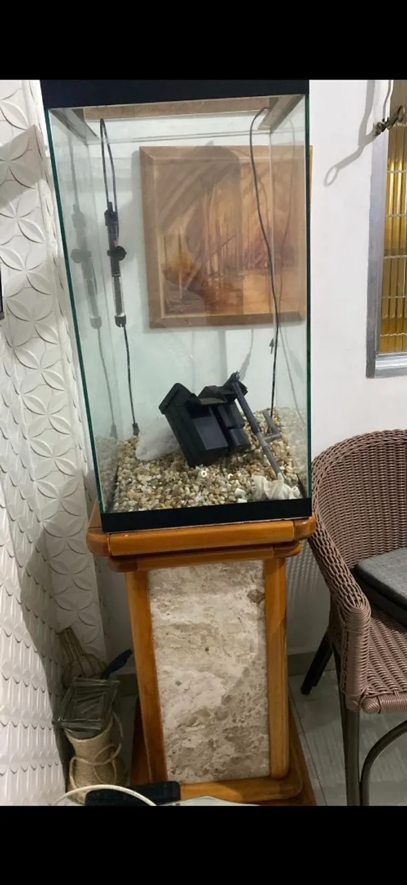 Aquário completo com filtro e termostato