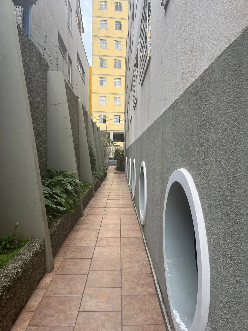 foto - Belo Horizonte - Calafate