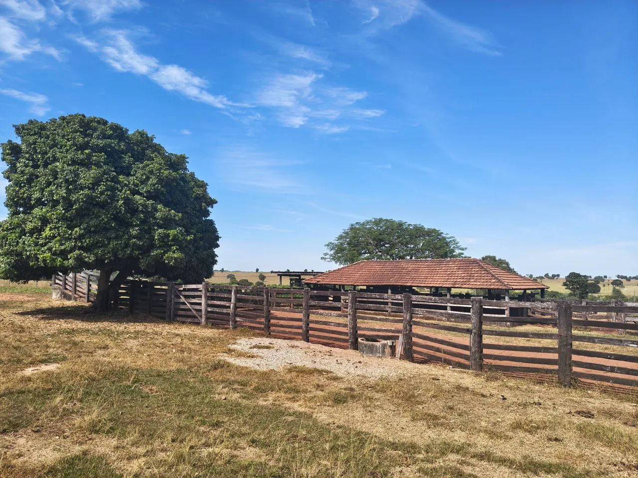 Fazenda Extra 90 Alqueires - Dupla Aptidão  - Foto 2