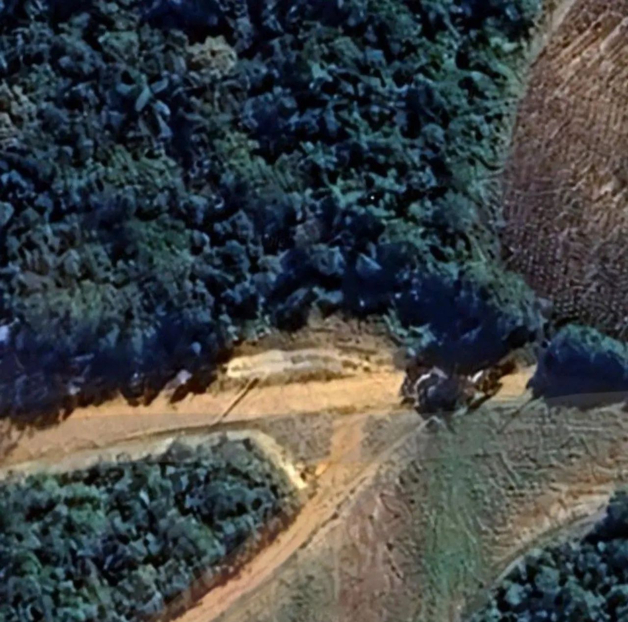 Terreno para Chácara 800m2 Com Energia e Água - Foto 2