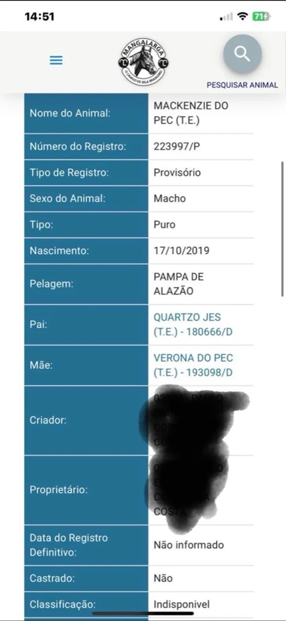 Cavalo Mangalarga Pampa 12x 749,00 - Foto 2