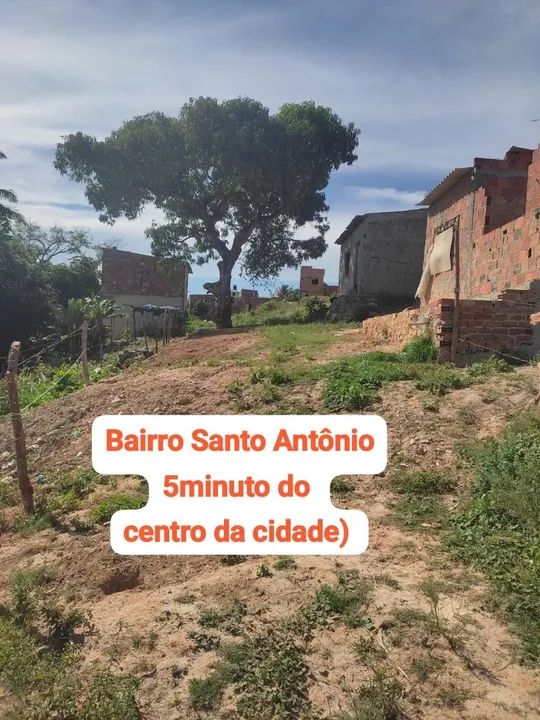 Terreno em área verde com vista para o rio 10 por 8 - Foto 2