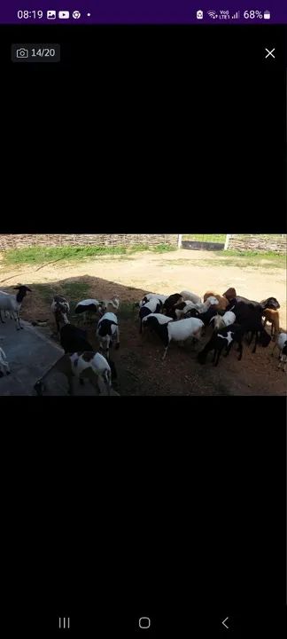 Fazenda em APUIARÉS-CE - Foto 3